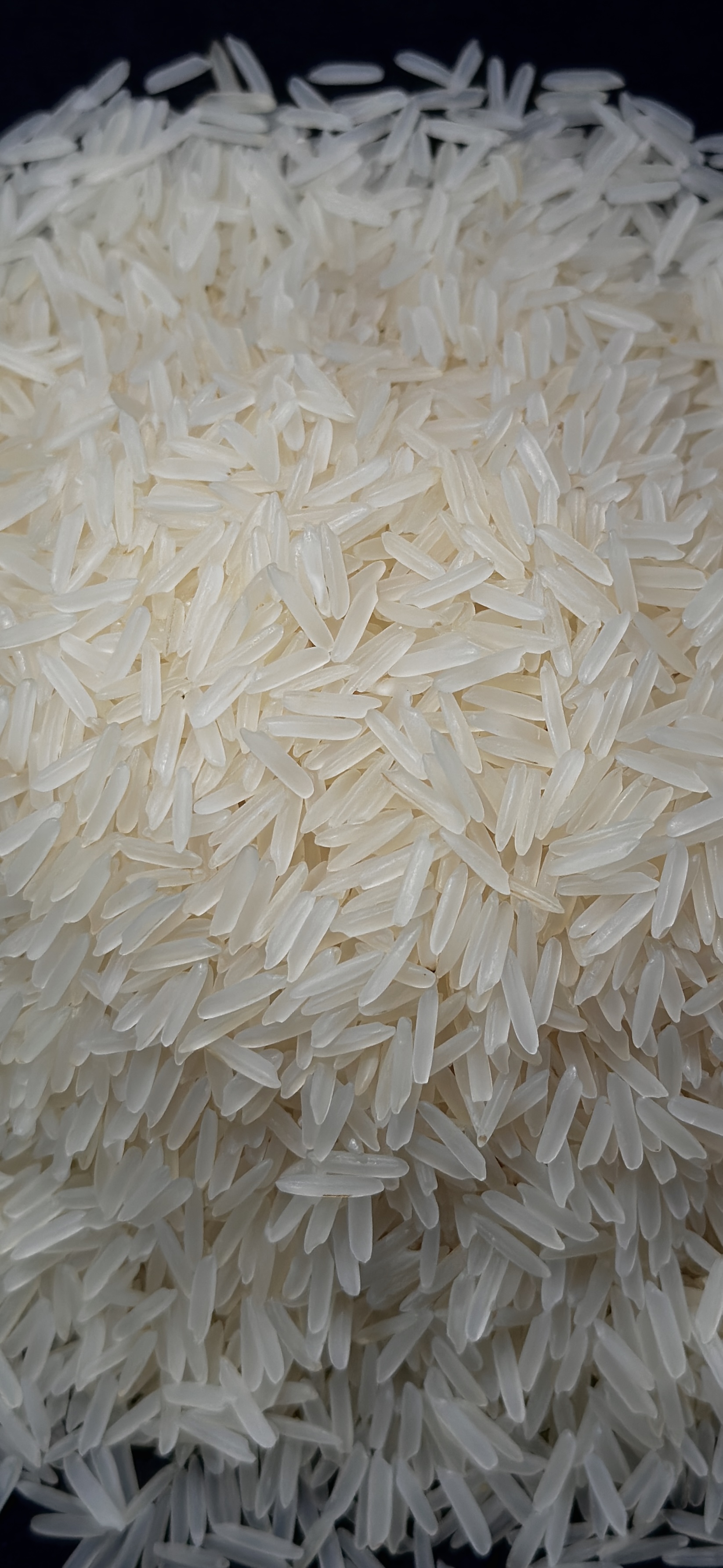 1121 Basmati