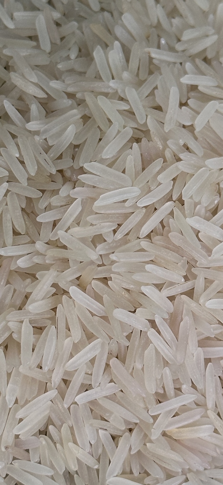 Sella Basmati