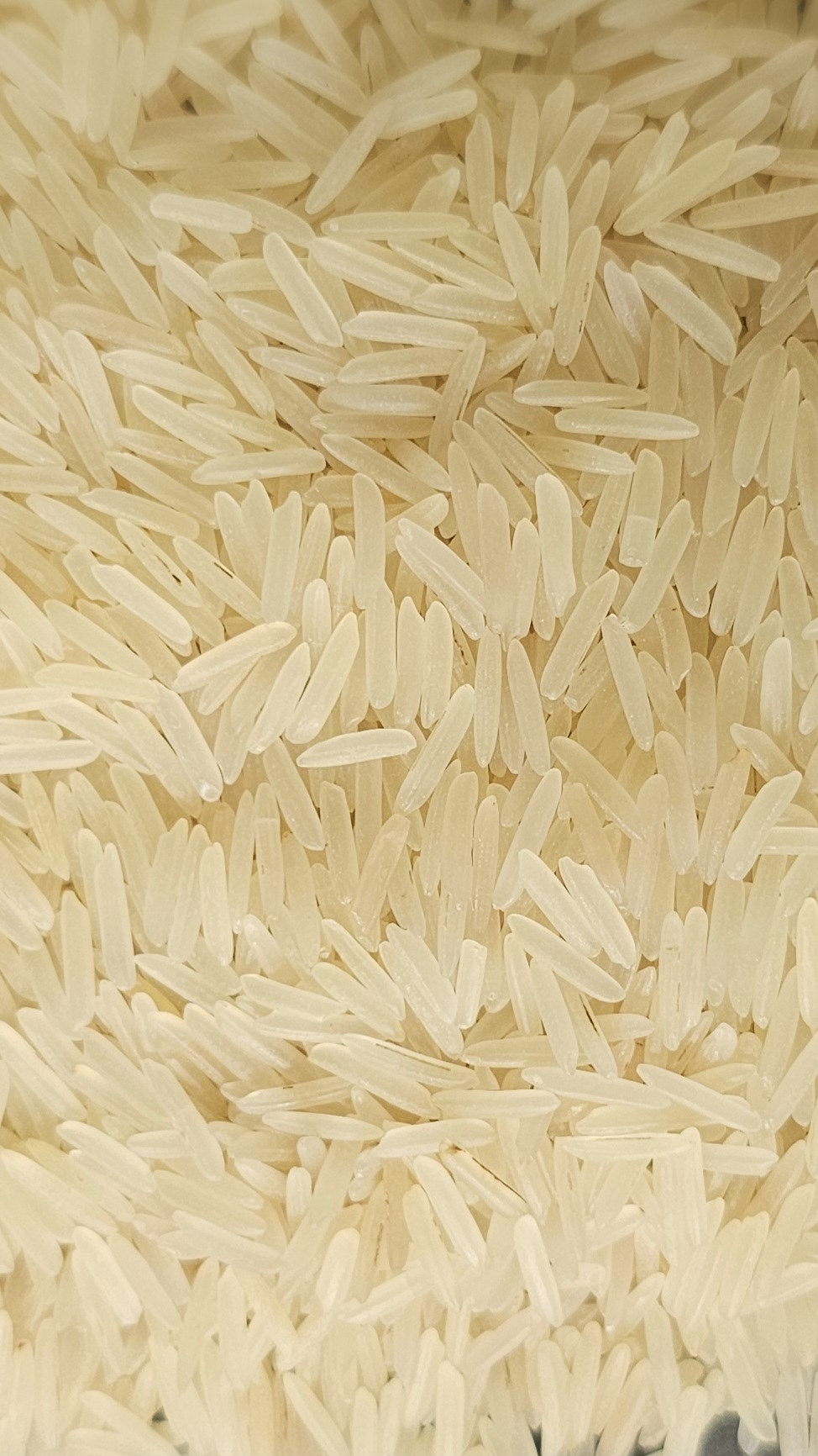 Golden Sella Basmati