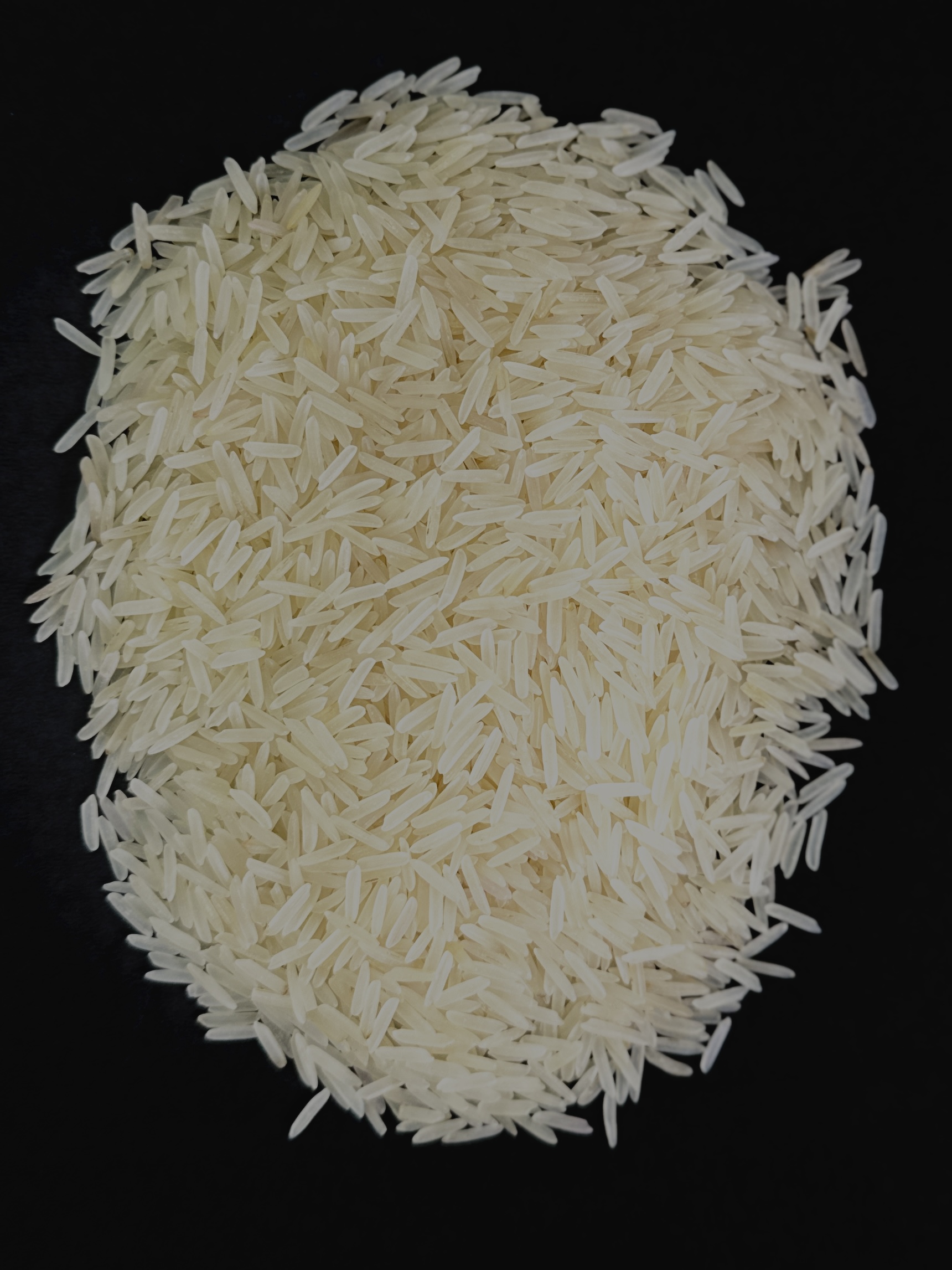 1509 Basmati