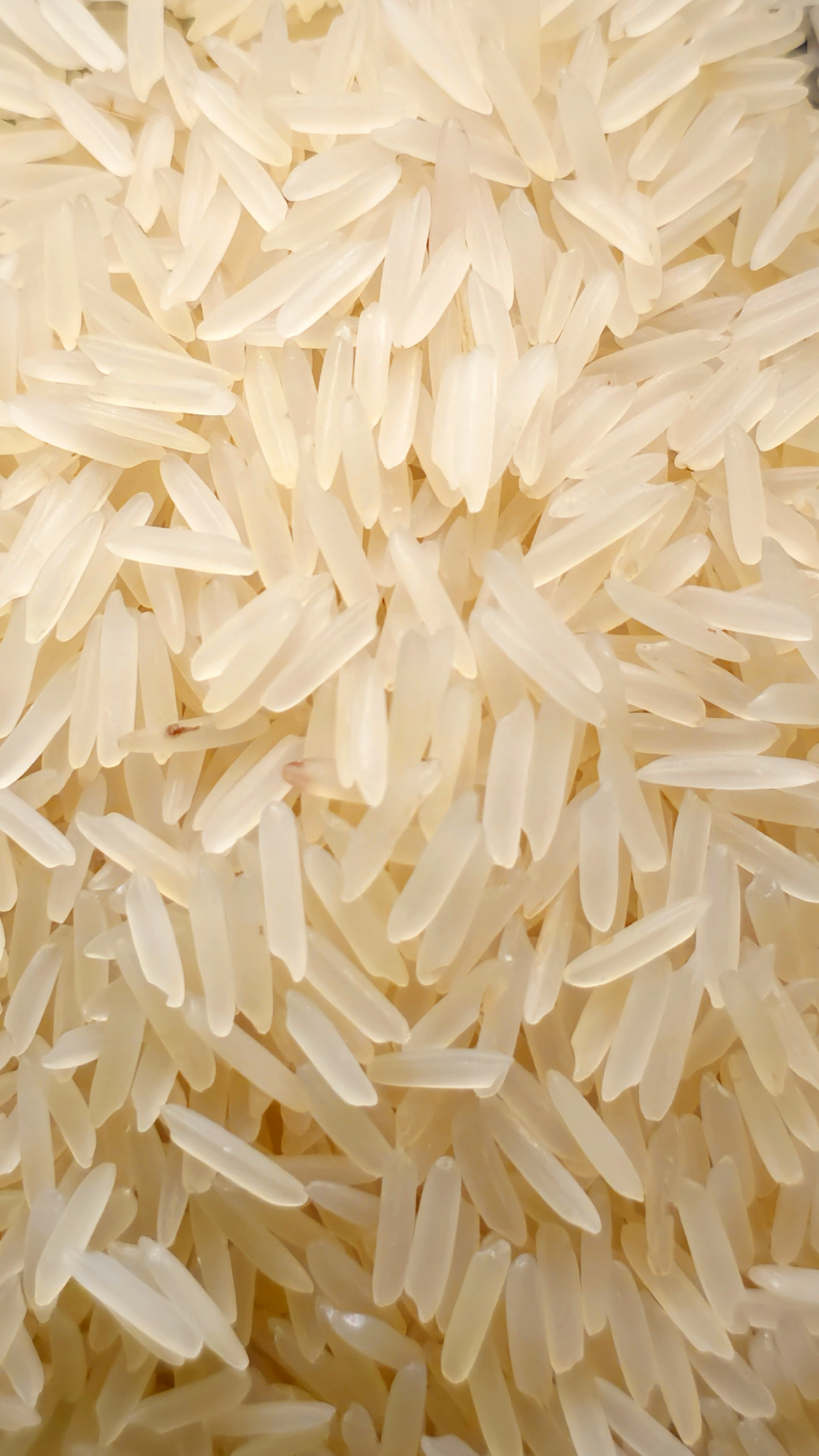 Golden Sella Basmati